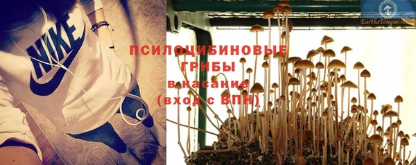 мяу мяу мука Алексеевка