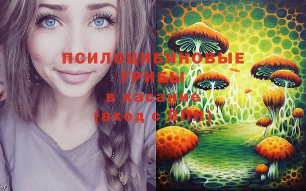 а пвп мука Алзамай