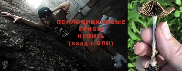 а пвп мука Алзамай