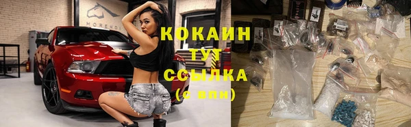 ешки Алексин